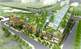 ���������˹�