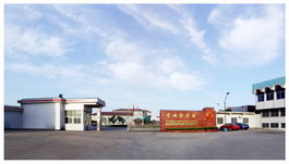 ������ҩ��